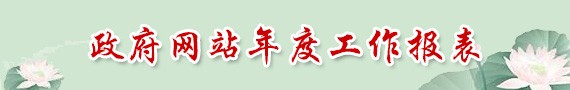 政府網(wǎng)站年度工作報表